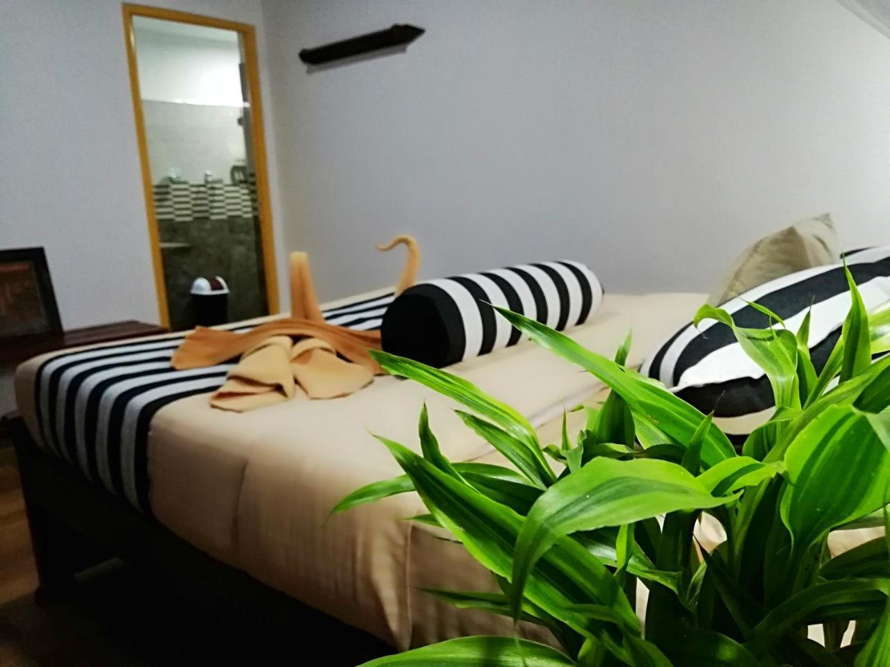 Home Away 埃拉 外观 照片